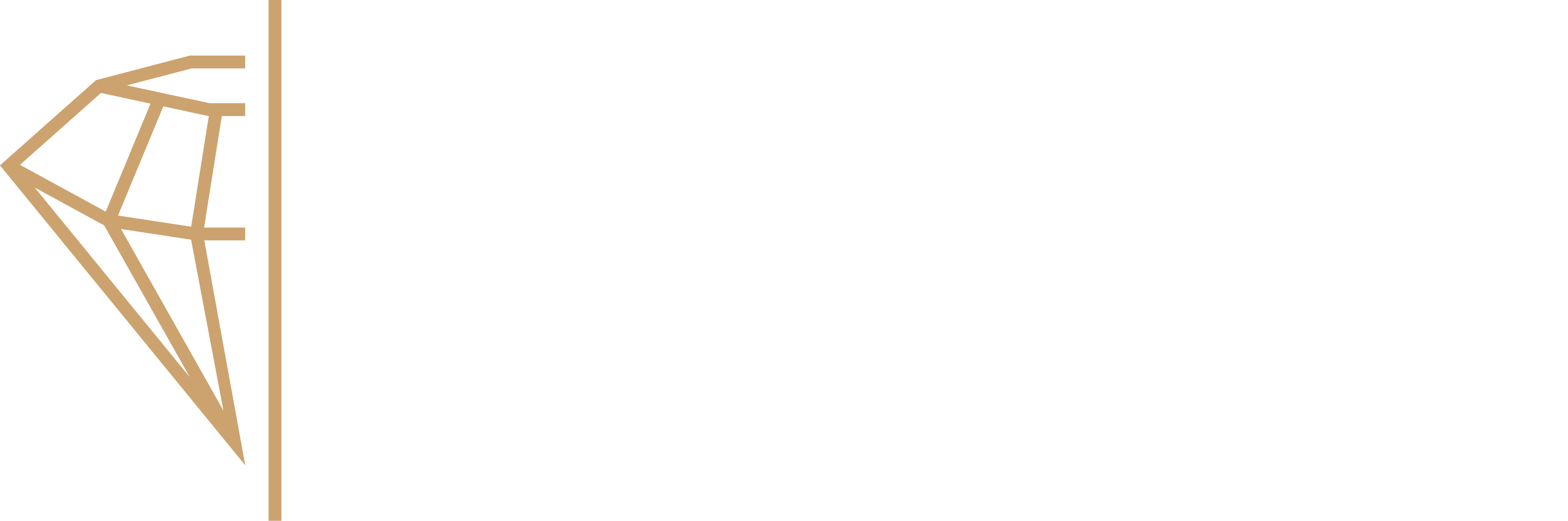 Boardshort Millionaire Logo